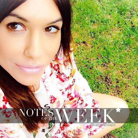 notes of the week barbara crespo tumblr social media instagram youtube instavideo facebook twitter