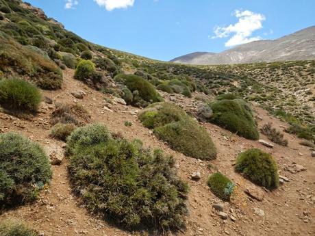 De Zawyat Oulmzi a R'bat. Ruta por el altas medio marroquí