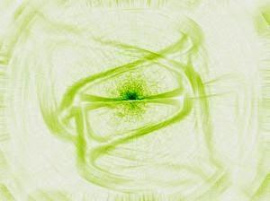 150 palabras: Capítulo 5 (sueño, espejo, variación)