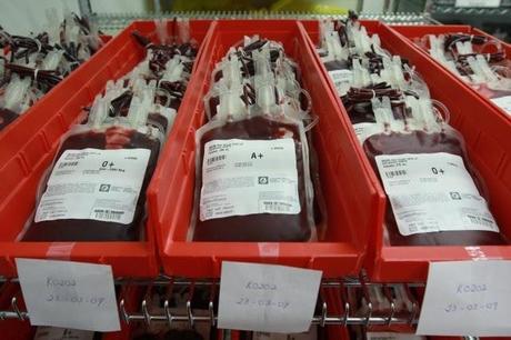 El mercado de sangre (1)
