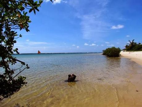 Paseo en buggy en Puerto Galinhas. Recife