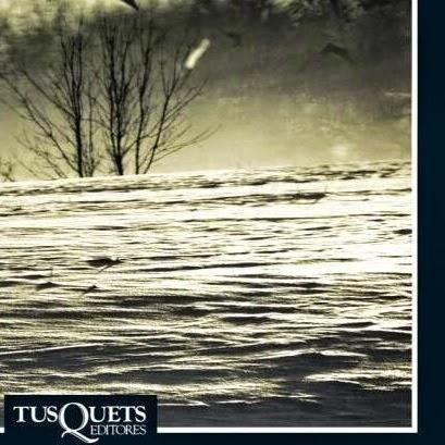 Fragmentos Nº173: El lago