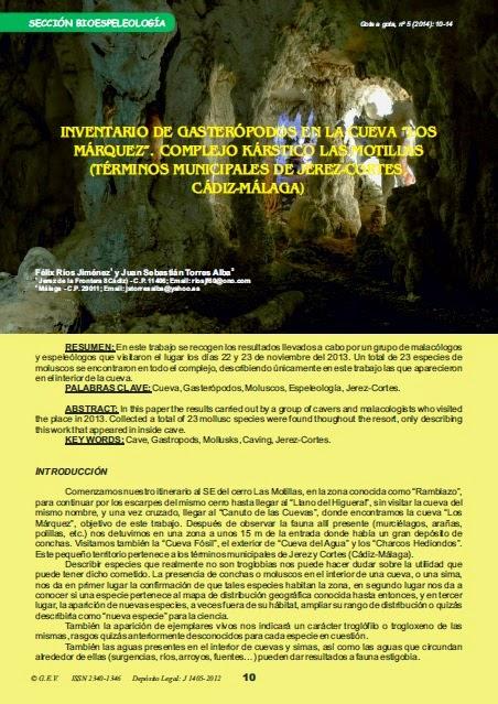 Gasterópodos de una cueva de Cádiz