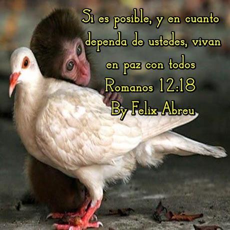 ¿Cómo podemos Amar a Personas Difíciles?