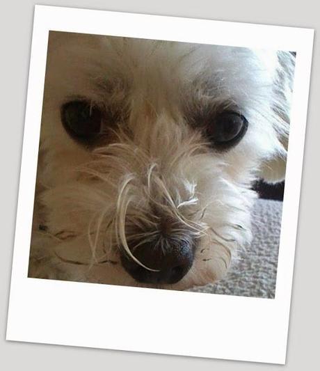 MY LATEST INSTRAGRAMS