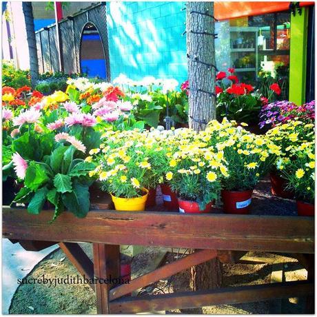 MY LATEST INSTRAGRAMS