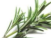 Aceite alcohol romero para masajes relajantes musculares