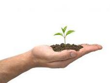 Emprender,