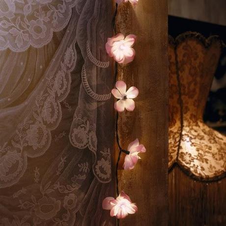 ¿Tú no vas a los toros?