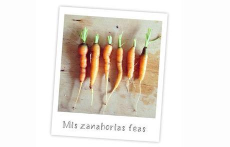 Mis zanahorias feas Esturirafi