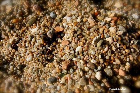 Hoy Compartimos: Días de Ocio