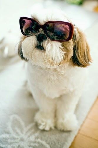 Recordando un finde especial