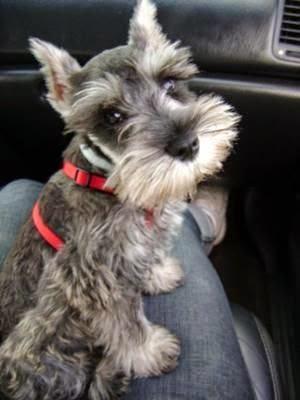 Recordando un finde especial