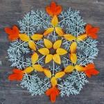 Mandalas con flores