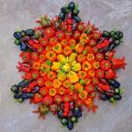 Mandalas con flores