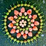 mandalas-rosa-verde-mangos-higos-totenart-material-bellas-artes