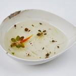 riusuke-fukahori-goldfish-pez-botella-plantas-totenart-material-bellas-artes