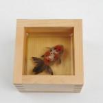 riusuke-fukahori-goldfish-totenart-material