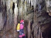 Salida bioespeleológica