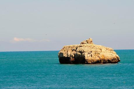 Hoy compartimos:Dias de ocio