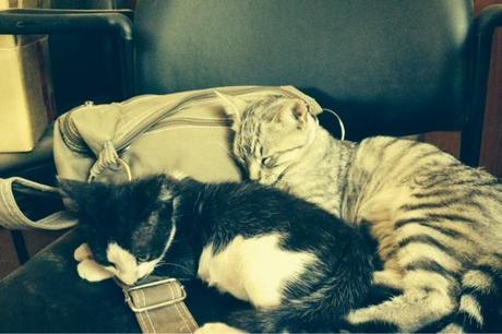 Hoy compartimos:Dias de ocio