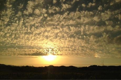 Hoy compartimos:Dias de ocio