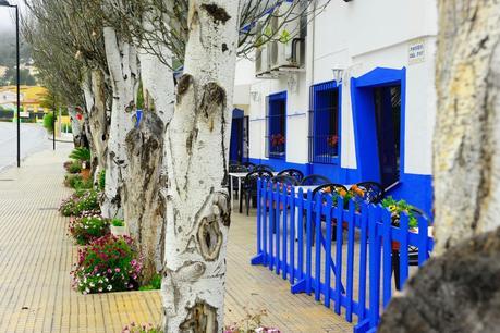 Hoy compartimos:Dias de ocio