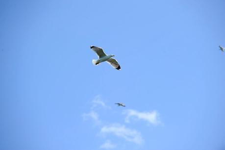 Hoy compartimos:Dias de ocio