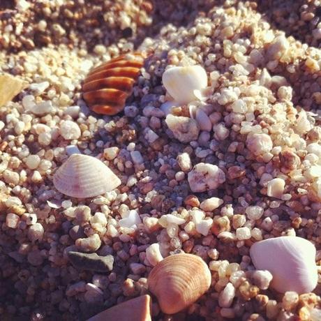 Hoy compartimos: días de ocio