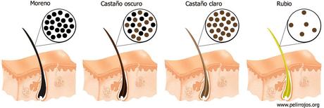 Tipos de rubio para el cabello y como lograrlo sin errores !!!
