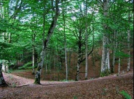 Fuente de Basauntxoko iturri. Sierra de Urbasa