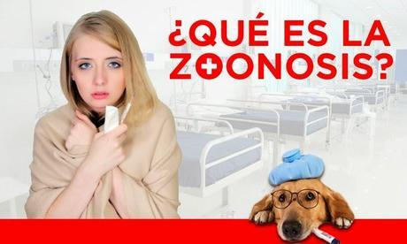 Concepto de zoonosis - ¿Que es una zoonosis?