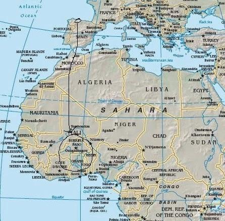 Las golondrinas se preparan