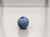 Fragancia pedo mora azul