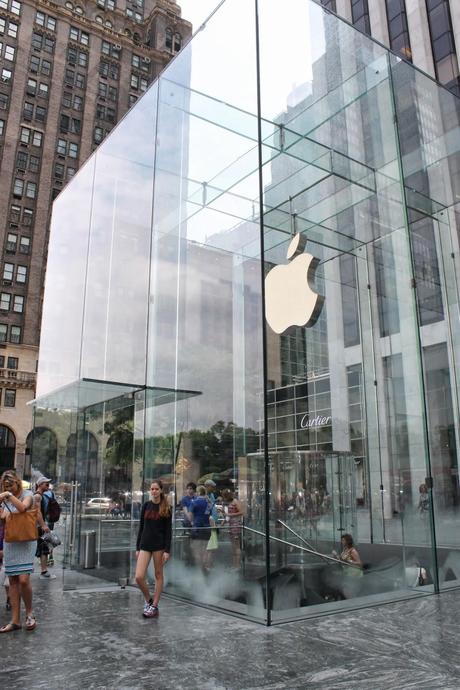 NEW YORK pictures (vol. l)