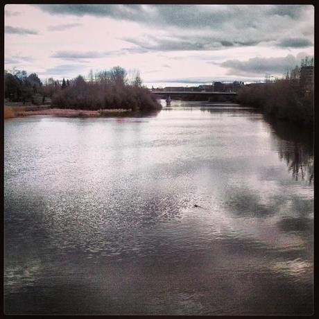 Seis meses en Instagram