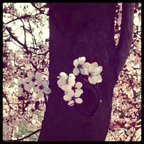 Seis meses en Instagram