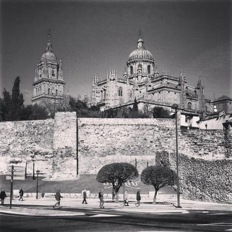 Seis meses en Instagram