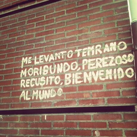 Seis meses en Instagram