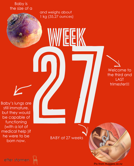 Semana 27 Embarazo | Week 27 Pregnancy