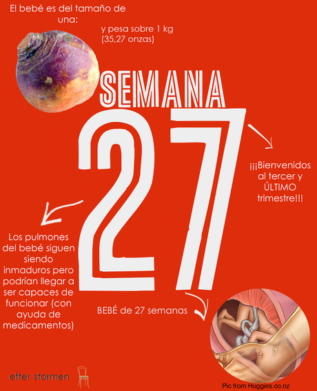 Semana 27 Embarazo | Week 27 Pregnancy