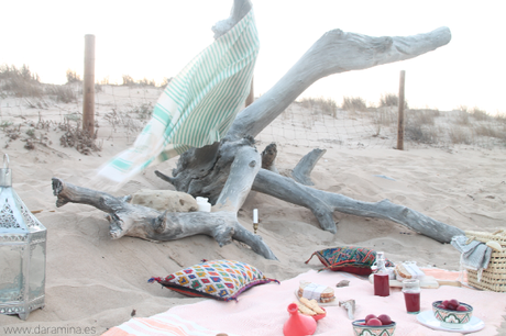 quedamos en un picnic