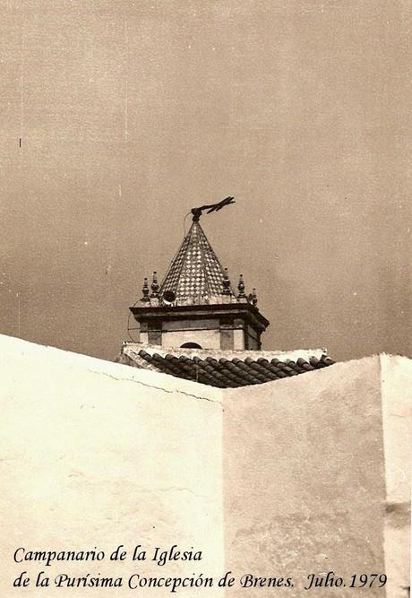 Martes Palanchín #7