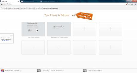 Como saber quien rastrea tu navegación por internet en Windows Pestaña de Epic Browser