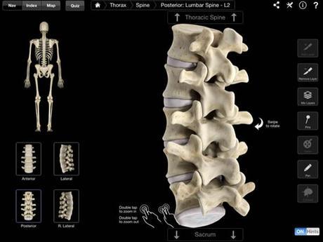 Skeletal System Pro III :: app del esqueleto humano Skeletal System Pro III :: app del esqueleto humano