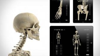 Skeletal System Pro III :: app del esqueleto humano Skeletal System Pro III :: app del esqueleto humano
