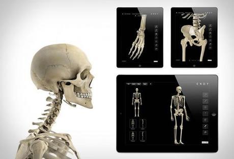 Skeletal System Pro III :: app del esqueleto humano Skeletal System Pro III :: app del esqueleto humano