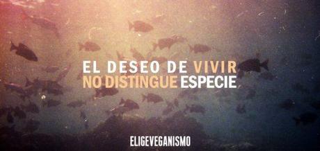 vivir