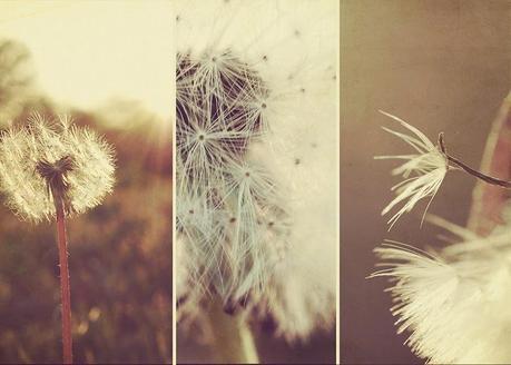 Hamburguesa Big Marta... mejor que el big mac casero