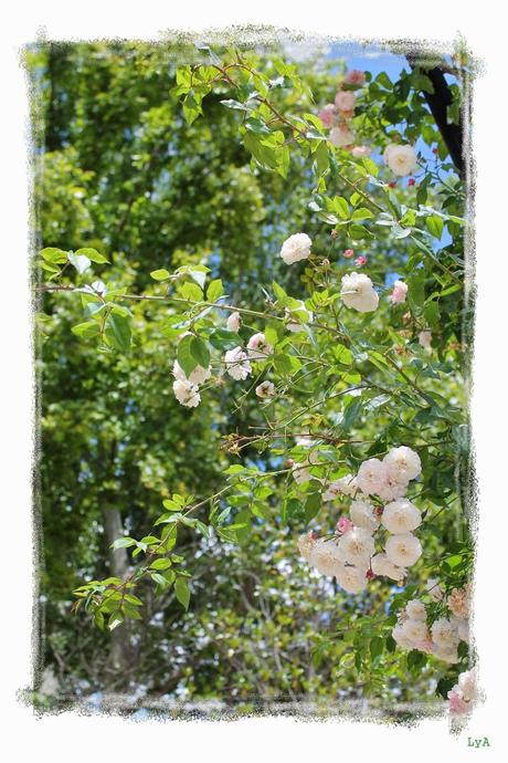 Comida para salir de excursión... tortilla de patata y pollo empanado... para Cocina Typical Spanish